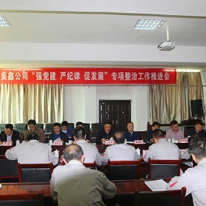 F(tun)_(ki)ι˾(qing)h(yn)o(j)ٰl(f)չ(xing)ιM(jn)(hu)