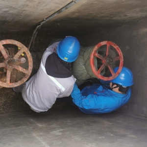 P(gun)עO(sh)䡰ů÷