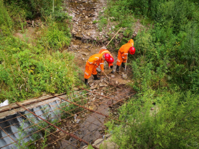 `гʹȫ VI(y)˾ұƺúVֹ˾2021꼾(yng)ݾ